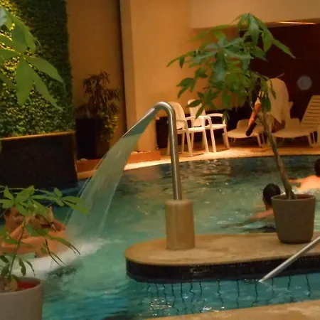 Pallace Wellness * Хевиз