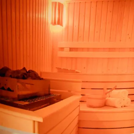 Pallace Wellness Апартаменты Хевиз